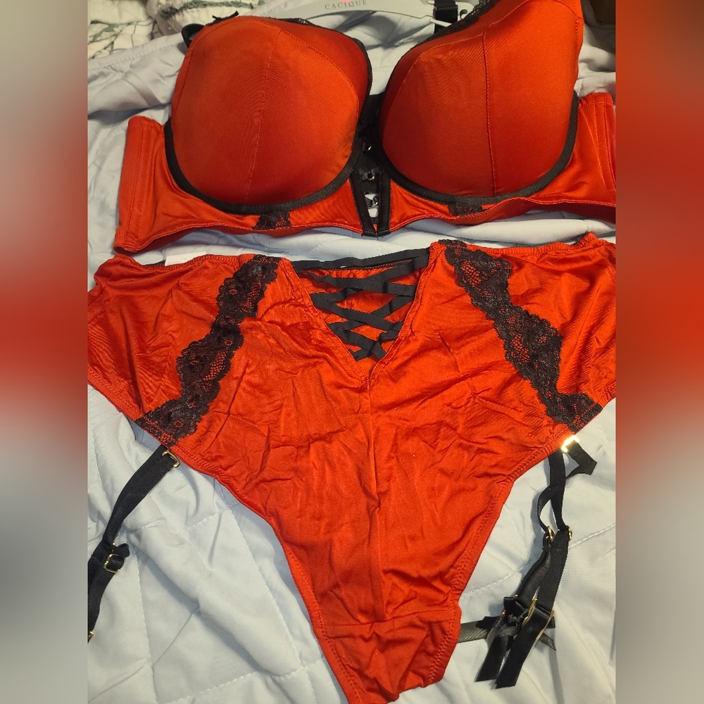 Lane bryant 2pc lingerie set. 48DD/3x. Nwt.